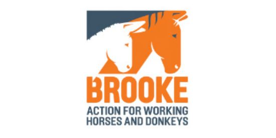 Picture of Senior Supporter Development Officer (Trading & Gaming)
